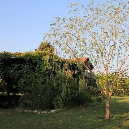 Lejlighed Sempati Apart Mesudiye (Datca)